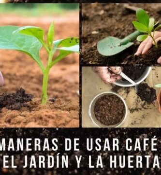 cafe y huerta