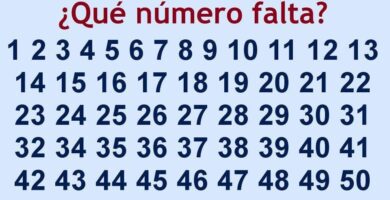 que numero falta