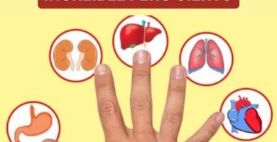 Ahora que ya sabes para qué sirve el método japonés Jin Shin Jyutsu, lo único que te invitamos a hacer, es que aproveches todos sus beneficios, no sabes si ese dolor o afección se puede curar con un simple masaje en alguno de los dedos de tu mano derecha.